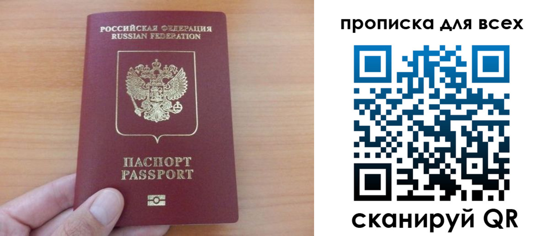 прописка поиск в Камышине